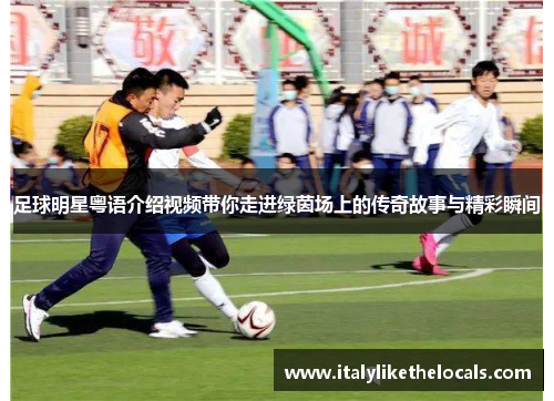 足球明星粤语介绍视频带你走进绿茵场上的传奇故事与精彩瞬间