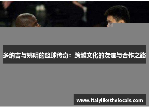 多纳吉与姚明的篮球传奇：跨越文化的友谊与合作之路